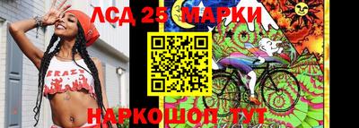 индика Усть-Джегута