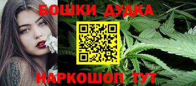 индика Усть-Джегута