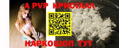 индика Усть-Джегута